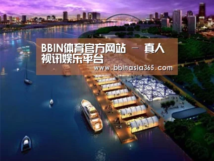 案例展示八