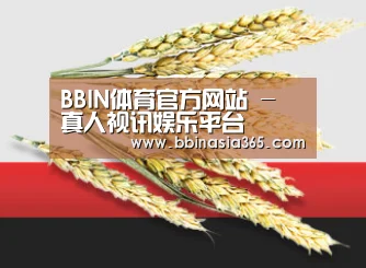 BBIN体育官方网站 - 真人视讯娱乐平台