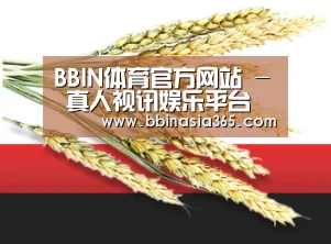 BBIN体育官方网站 - 真人视讯娱乐平台